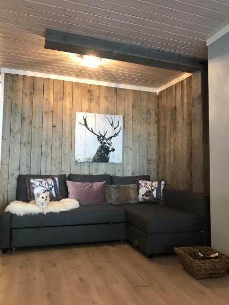 Kvamseter Lodge - Mountain Apartments Norheimsund Εξωτερικό φωτογραφία