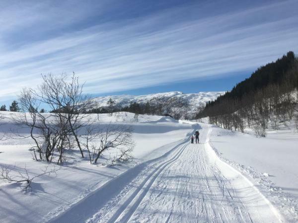 Kvamseter Lodge - Mountain Apartments Norheimsund Εξωτερικό φωτογραφία